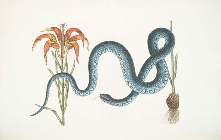 Random: Thoughts of Snakes and Kindness